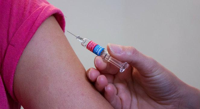 Grudziądz: przychodnia testowała szczepionki przeciwko ptasiej grypie bez wiedzy pacjentów