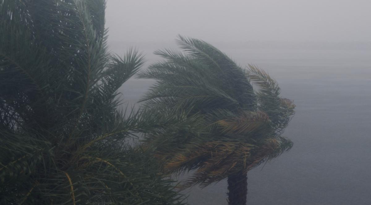 Zagrożenie huraganem na wschodnim wybrzeżu USA. Tropikalny sztorm Henri przebiera na sile