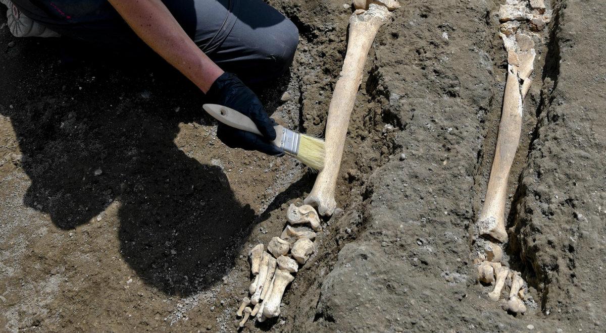 Niezwykłe odkrycie w Pompejach. Znaleziono szkielet ofiary wybuchu Wezuwiusza