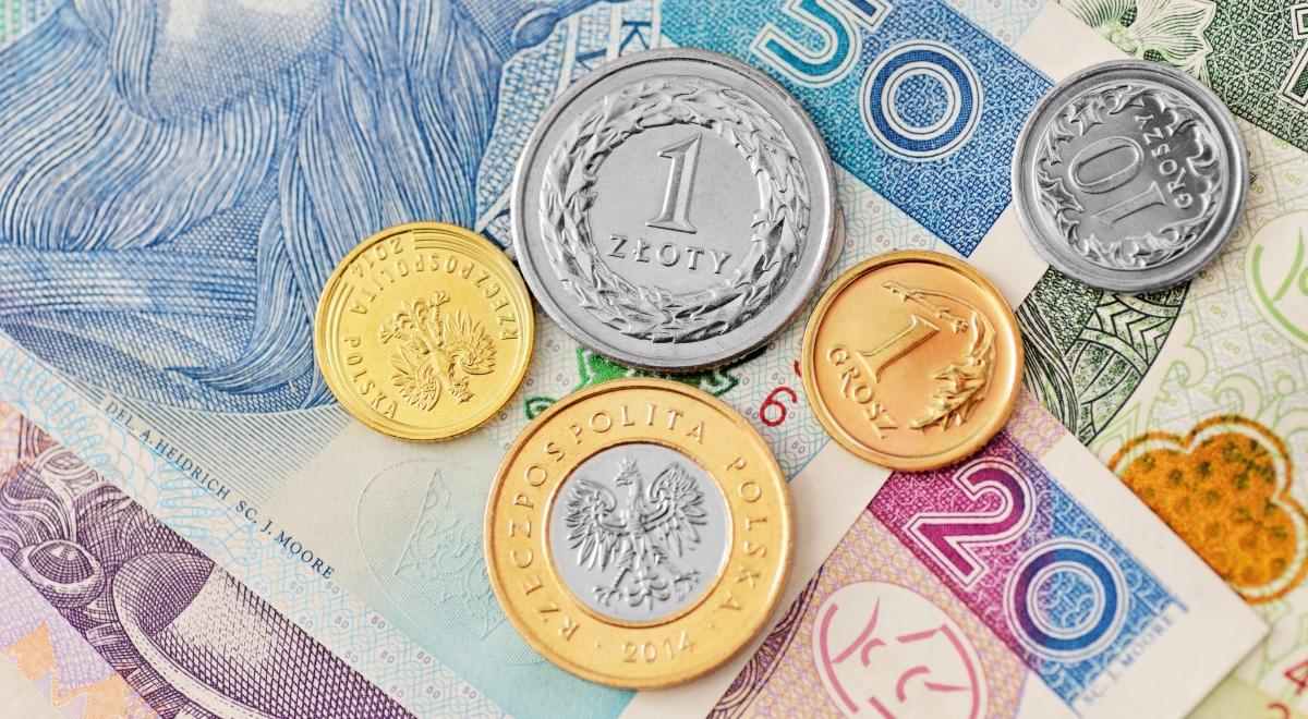 Złoty rośnie w siłę. Jak długo potrwa dobra passa polskiej waluty?