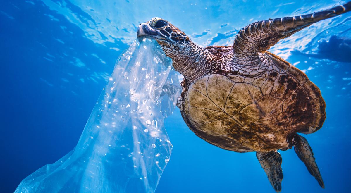 Francja mówi stop plastikowym śmieciom: nie trafią do morza
