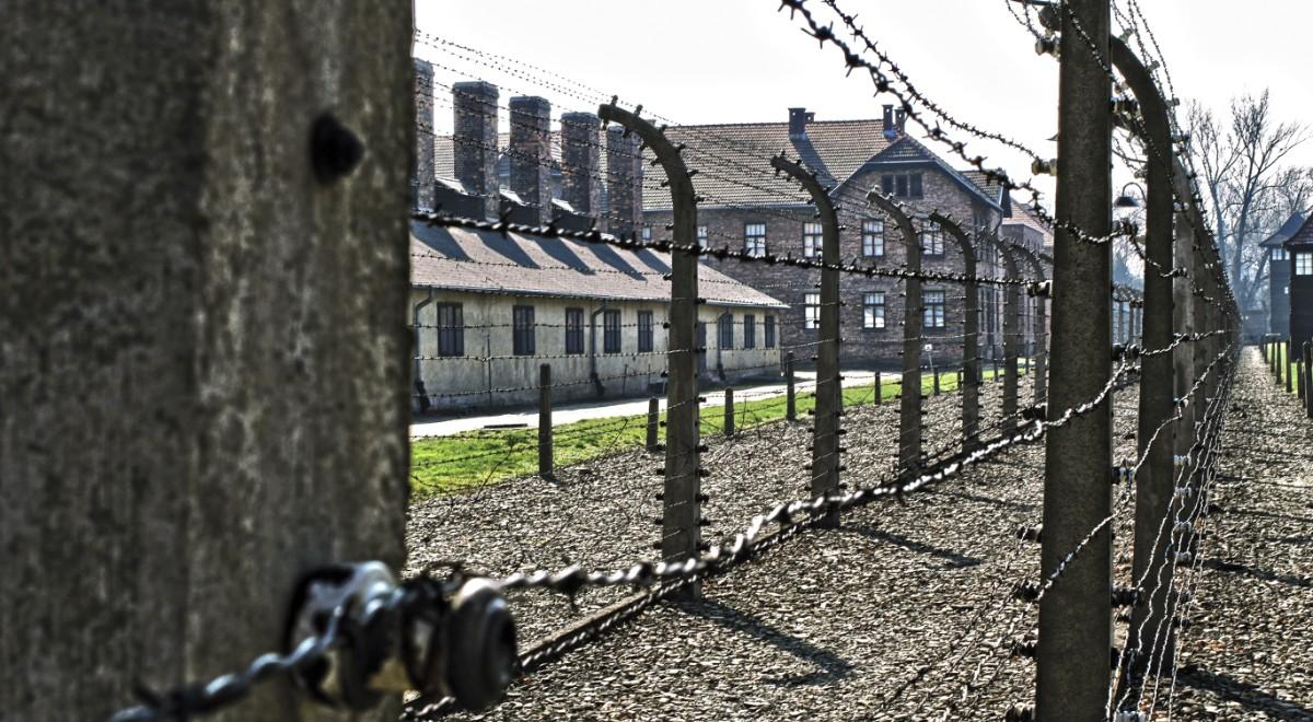 70 proc. interwencji dot. sformułowań "polski obóz koncentracyjny" zakończonych sukcesem