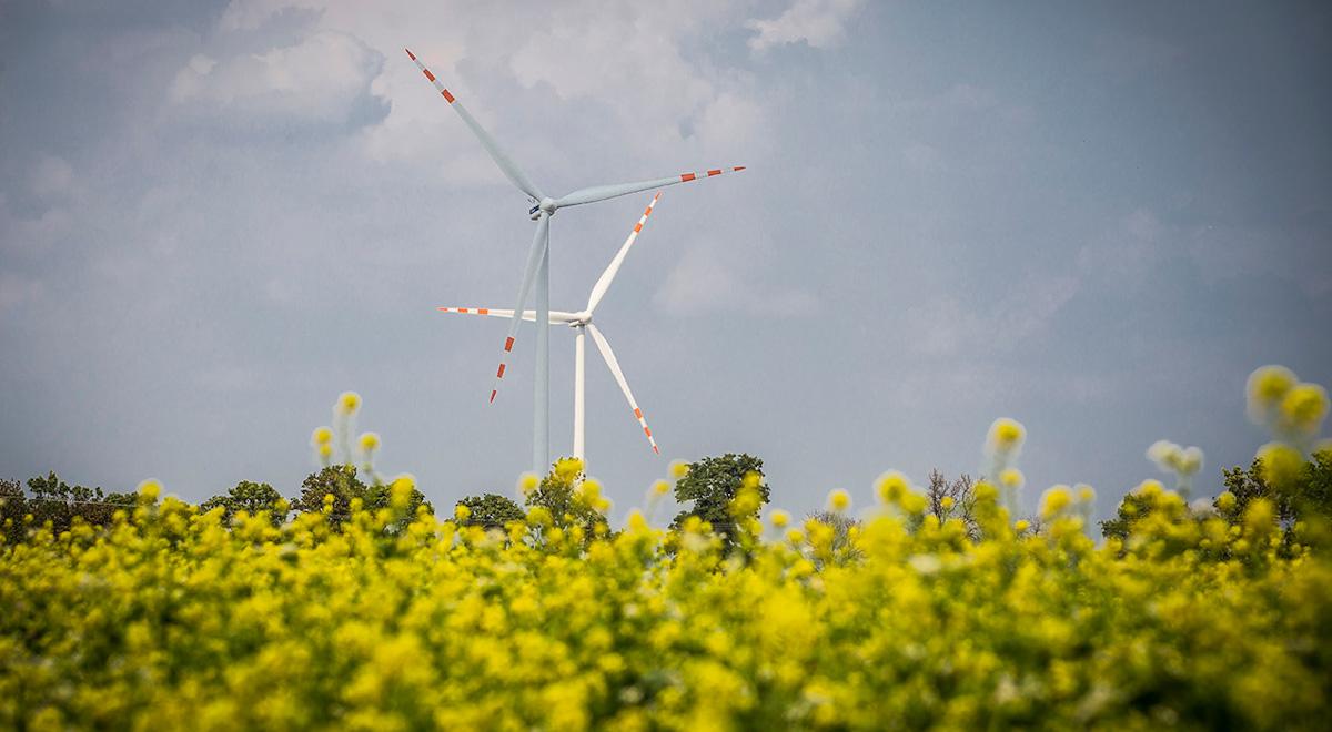 Tauron konsoliduje rozwój OZE. Spółka inwestuje w farmy wiatrowe i fotowoltaiczne