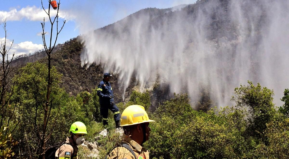 Grecja: pożar lasów grozi katastrofą ekologiczną, trwa szacowanie strat