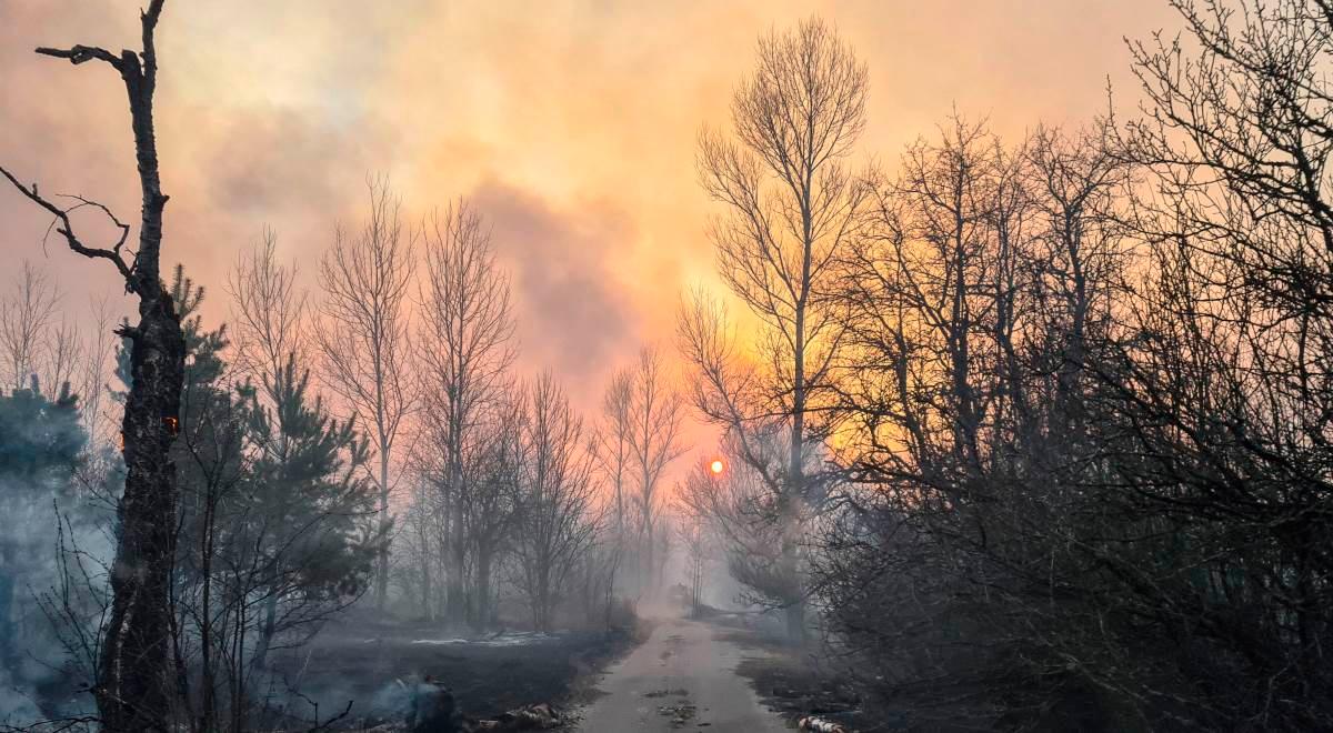 Dym z pożarów czarnobylskich lasów nad Kijowem. Witalij Kliczko apeluje o pozostanie w domach
