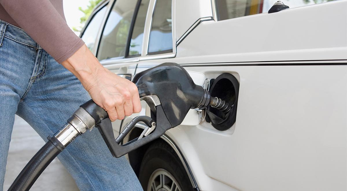 Co decyduje o cenie benzyny na stacji paliw? 