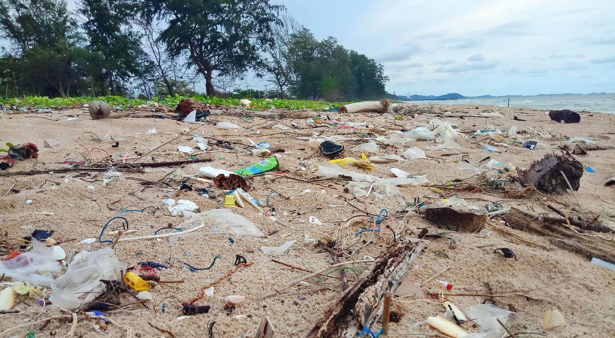 Czy świat zaleją plastikowe śmieci?