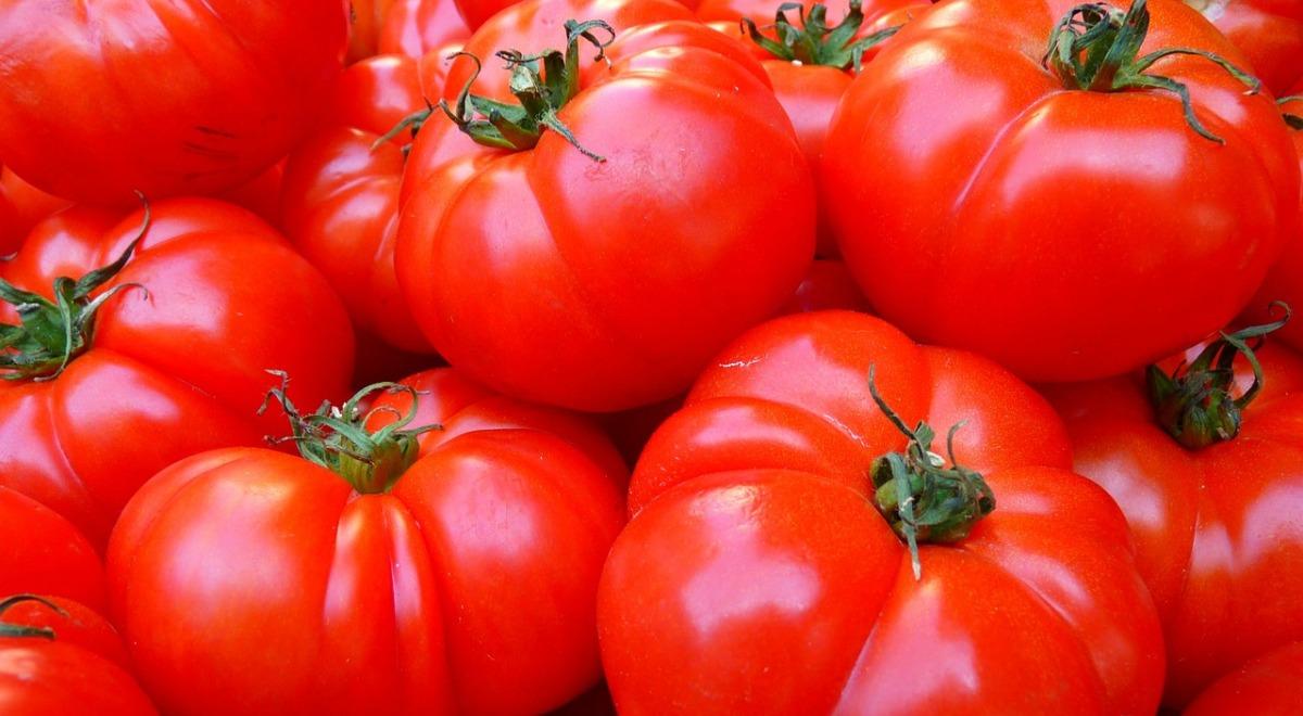 "Pora na pomidora", czyli jedzmy więcej owoców i warzyw