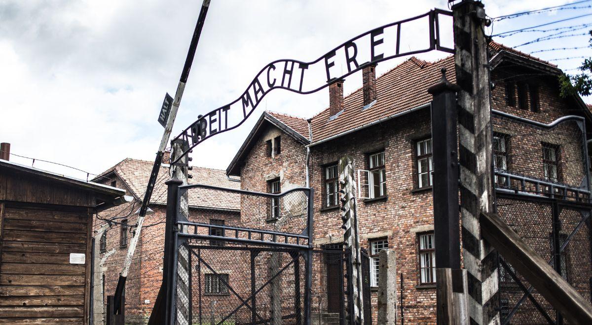 Usunięte posty Muzeum Auschwitz. Ministerstwo interweniuje ws. skandalicznych działań Facebooka