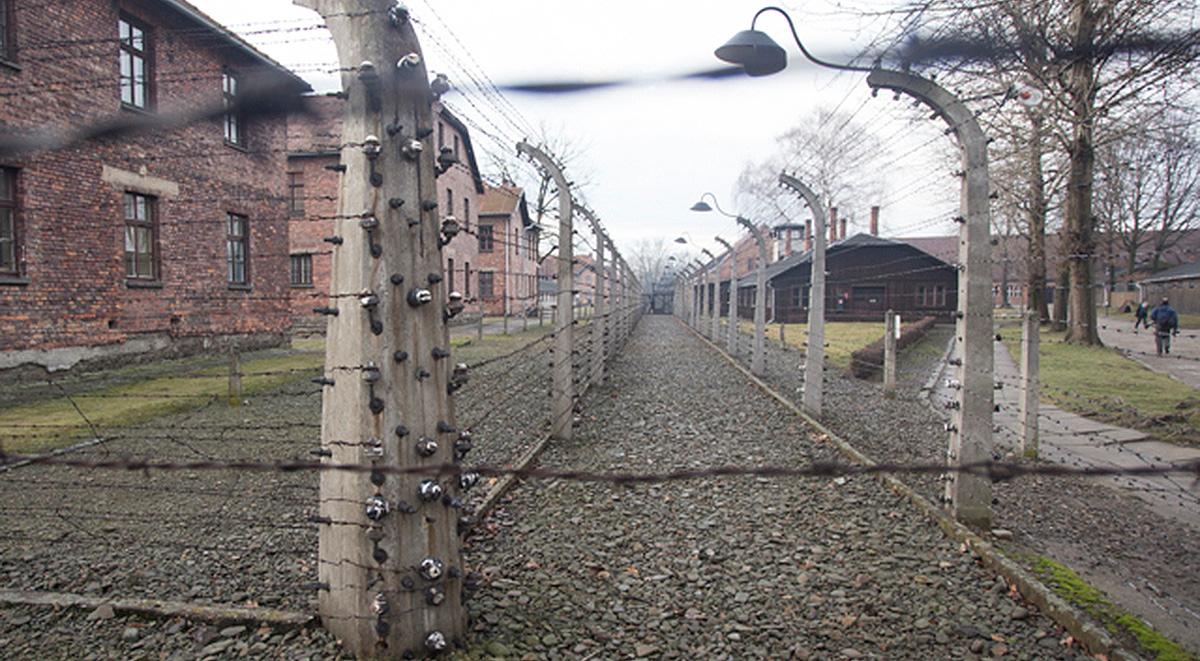 "To niedopuszczalne". Stanowisko Yad Vashem w sprawie określenia "polski Holokaust"