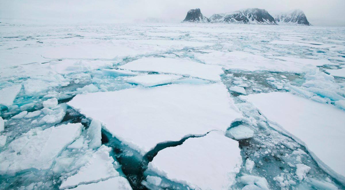 W Arktyce jest wyjątkowo mało lodu. Padnie kolejny rekord?
