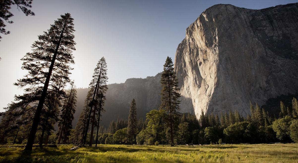 Odwiedzający park narodowy Yosemite zachorowali na... dżumę