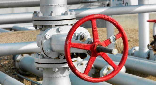 Eksperci: ograniczenie dostaw gazu przez Polskę to celowe działanie Rosji