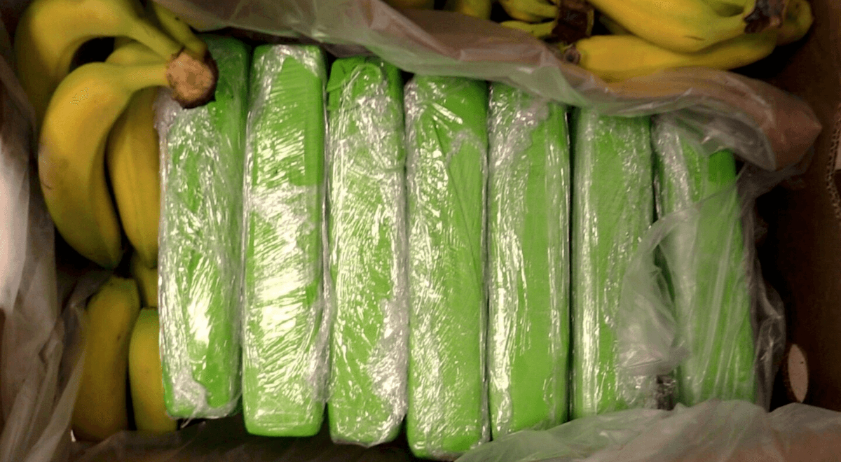 Ponad 100 kg kokainy ukrytej w bananach. Część trafiła do sklepów popularnej sieci