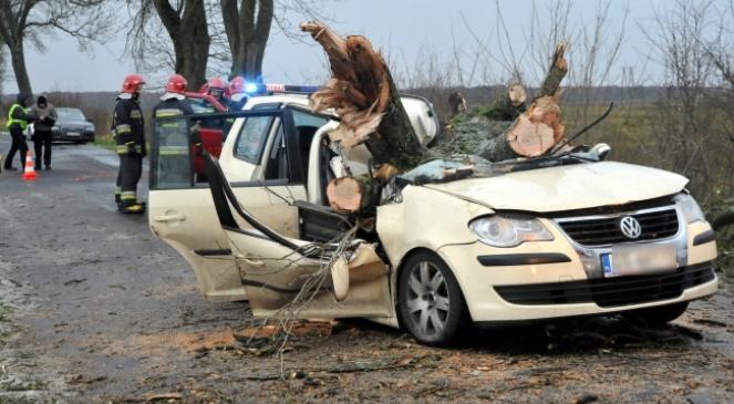 Orkan Ksawery nad Polską. Trzy osoby zginęły przygniecione drzewem w Poraju