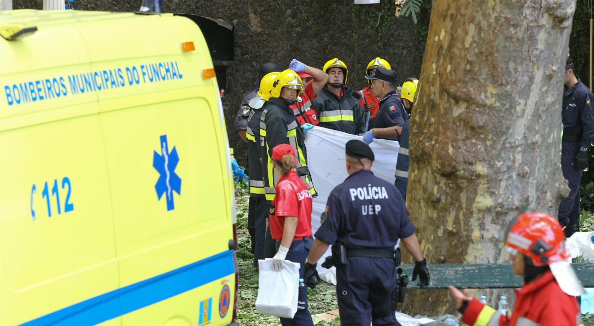 Portugalia: drzewo przygniotło pielgrzymów na Maderze. Rośnie bilans ofiar