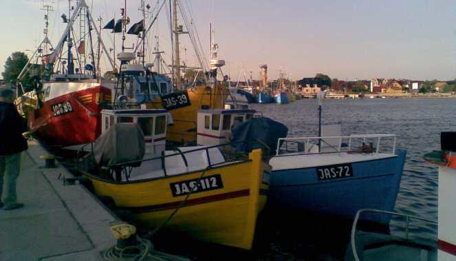 KE zakazuje połowów dorsza we wschodniej części Bałtyku