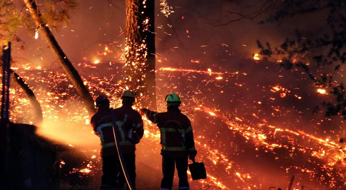 Pożar lasu na południu Francji. Ewakuowano nadmorskie kempingi