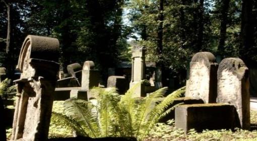 Zniszczony cmentarz żydowski: przewrócone macwy, otwarte groby