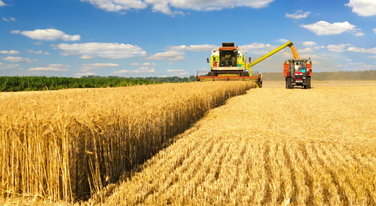 Eksport ukraińskiego zboża przez Polskę. Minister rolnictwa wyjaśnia