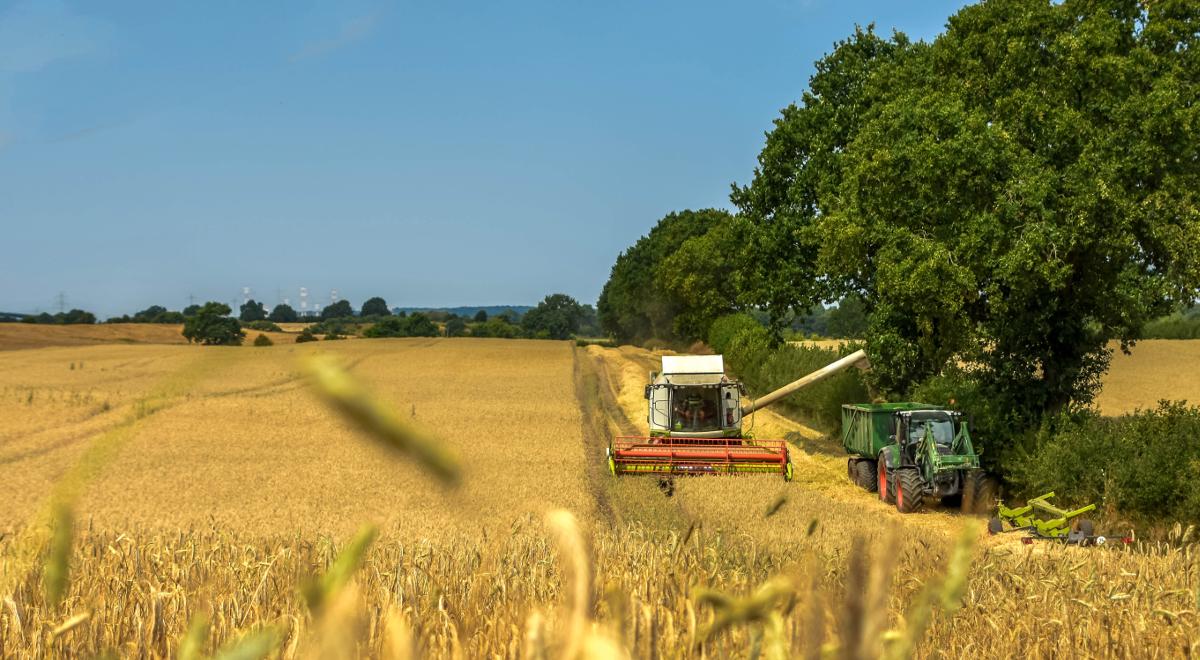 BGK rozszerza wsparcie dla rolników. Nowe warunki gwarancji spłaty kredytów