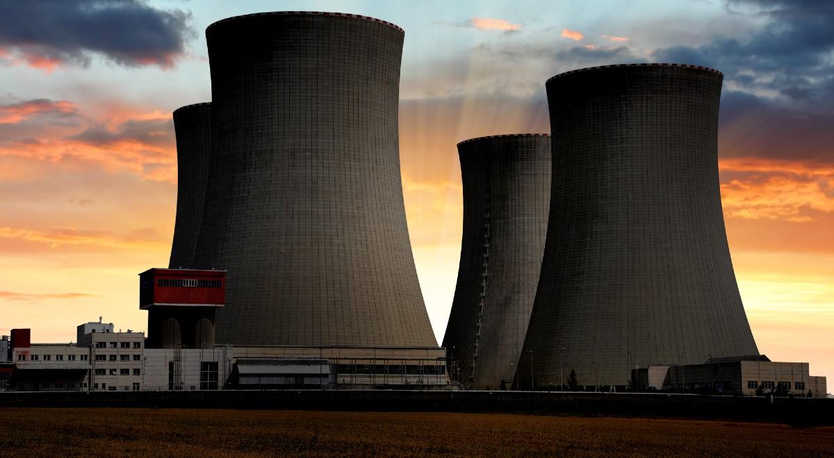 "Przynajmniej jedna jest potrzebna". Ekspert o budowie elektrowni atomowej w Polsce