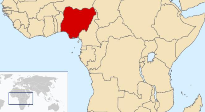 Krwawa zasadzka w Nigerii. Zginęli islamiści z Boko Haram