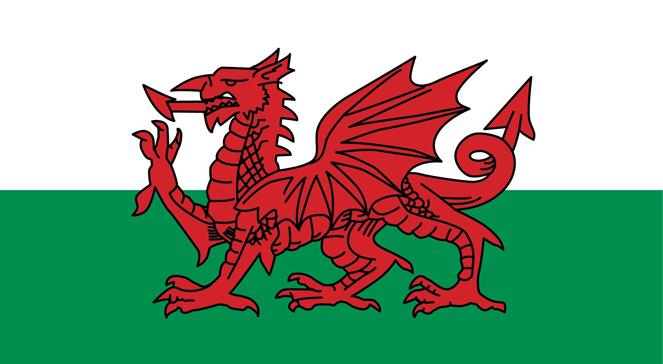 Język walijski łatwiejszy do nauczenia dla Polaka niż Brytyjczyka