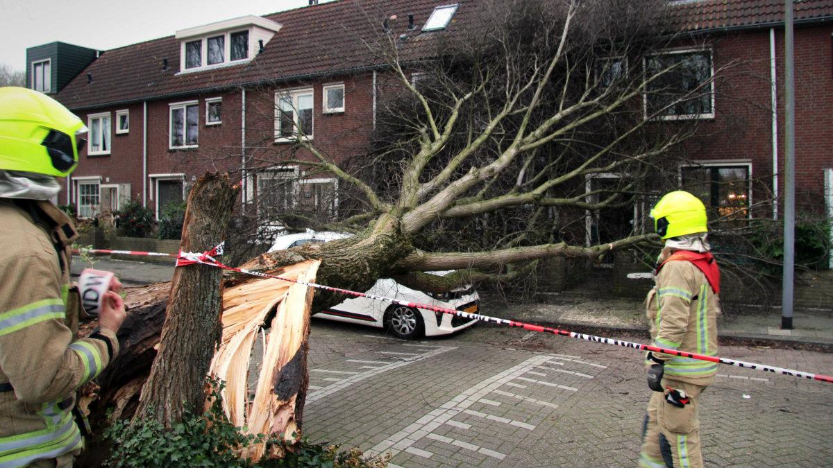 Sztorm Ciara w Europie. Wiatr wyrywa drzewa, paraliżuje transport
