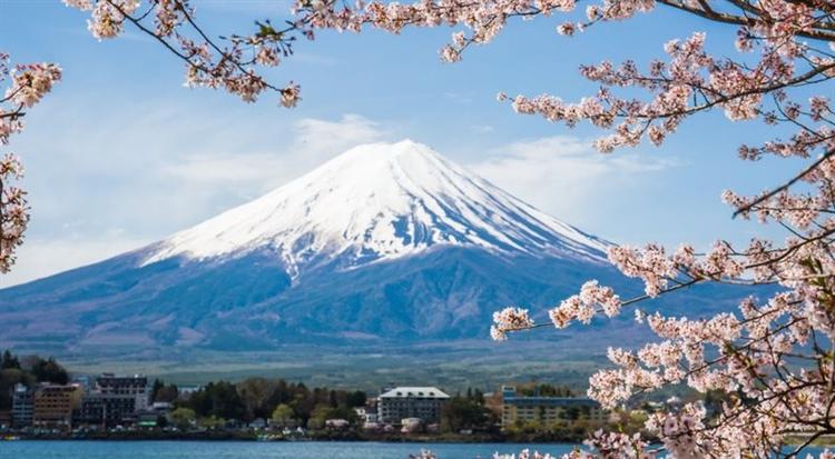 Władze japońskiego miasta Fuji...