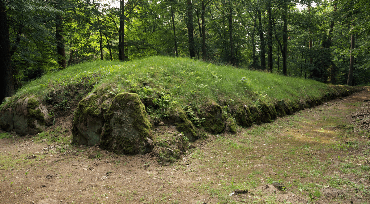 W Dębinach odkryto jedno z największych cmentarzysk megalitycznych w Polsce
