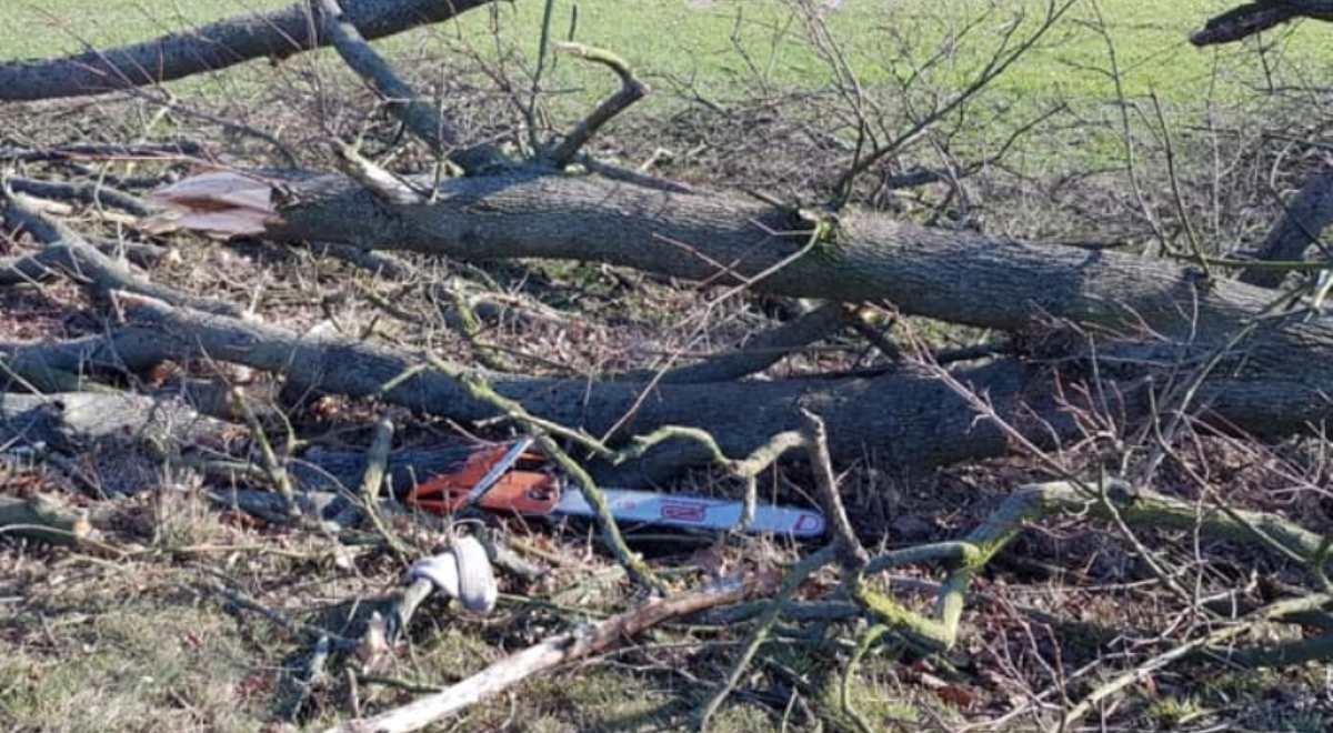 Tragiczny wypadek podczas wycinki drzew na Opolszczyźnie. Zginął pilarz