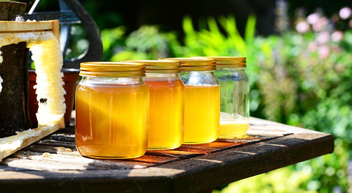 Pszczelarze narzekają na gorsze zbiory. Miód będzie droższy?
