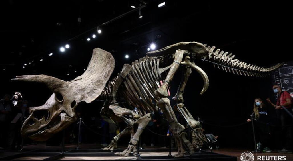 "Big John", największy znaleziony szkielet dinozaura, sprzedany za ponad 6,5 mln euro