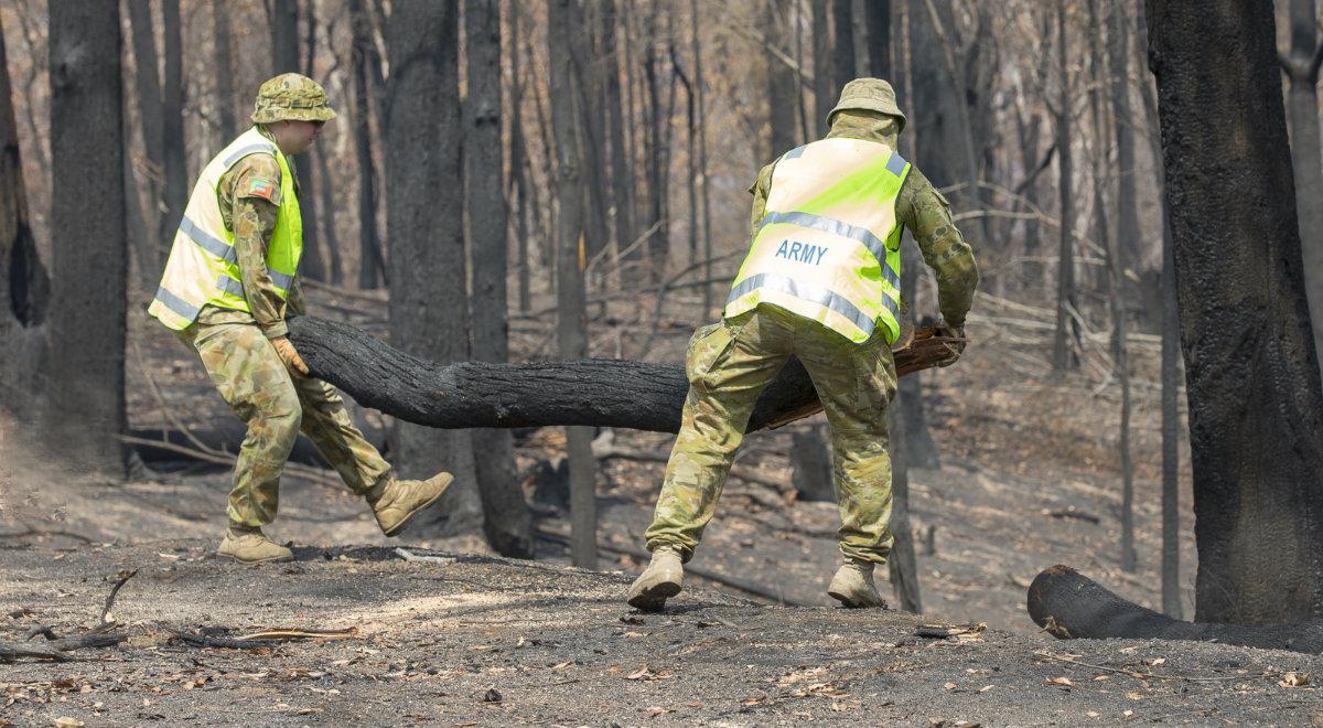 Debata PE o pożarach w Australii. Polityk PiS: ten parlament nie troszczy się o klimat