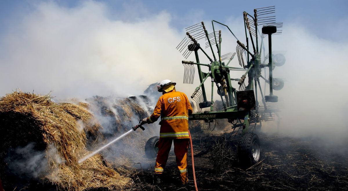 Pożary w Australii nie maleją. Biskupi proszą o modlitwę i pomoc