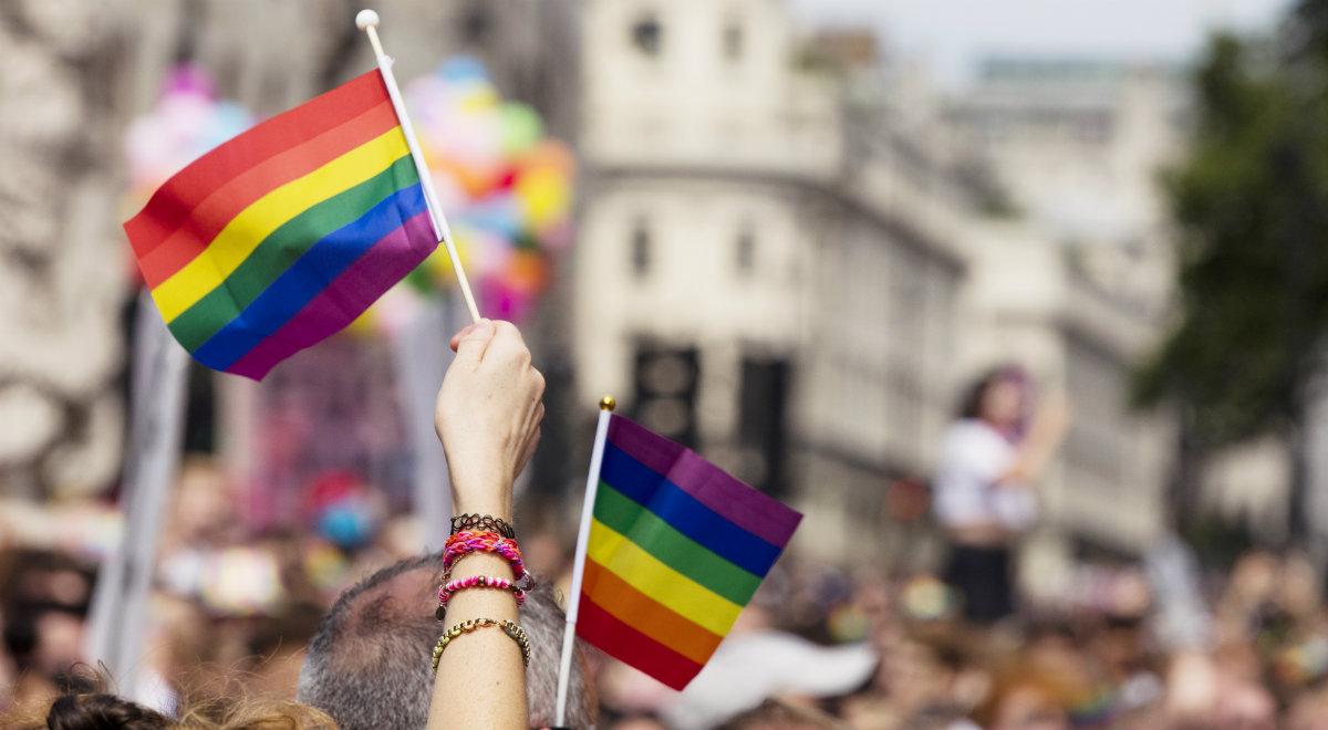 Projekt anty-LGBT. Radosław Fogiel: konfederacja zamierza sprowokować lewicę