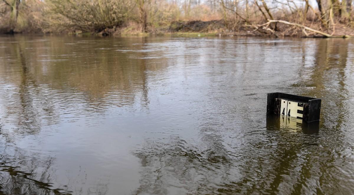 Wzrost poziomu wód w rzekach. IMGW ostrzega