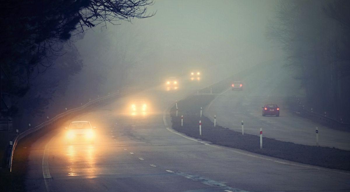 Gęste mgły w Polsce północno-wschodniej. Widzialność może wynosić miejscami poniżej 100 m 
