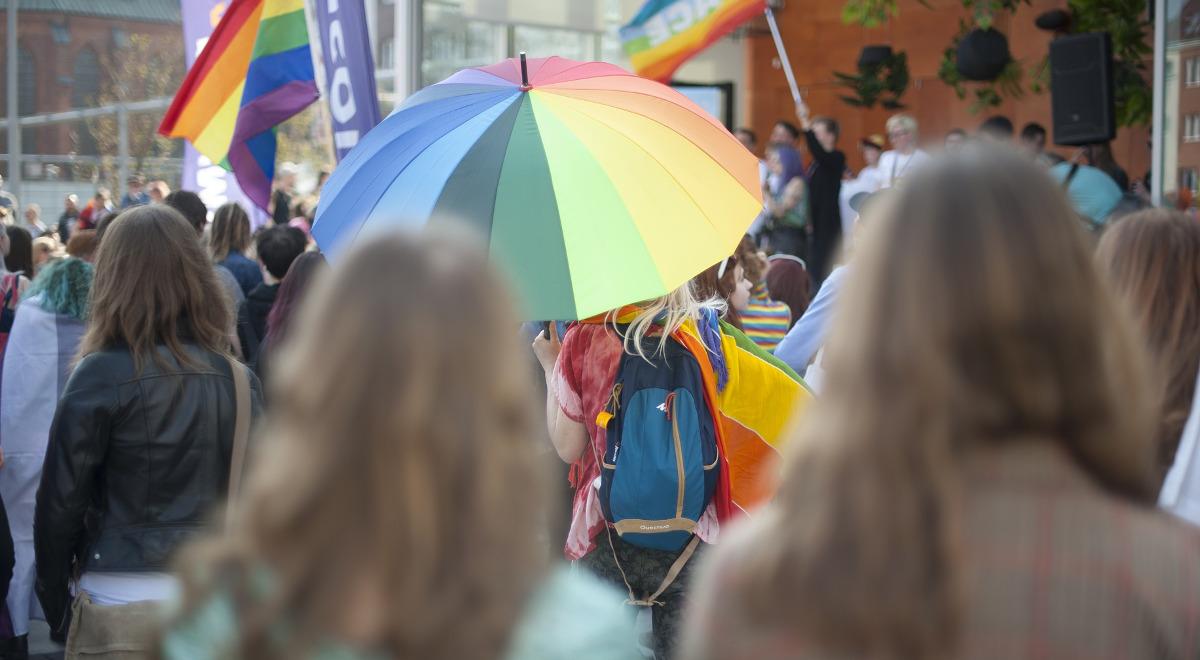 Raport o organizacjach LGBT w Polsce. "Chcą sformatować umysły młodych ludzi"