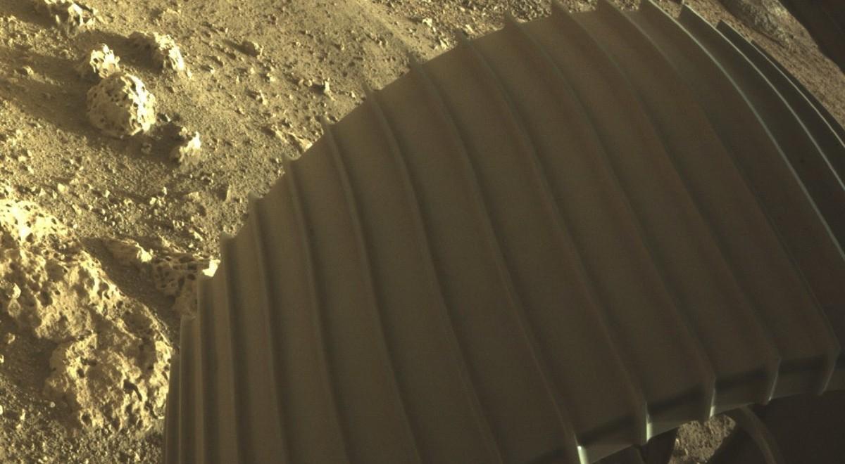 Łazik Perseverance na Marsie. Zobacz pierwsze kolorowe zdjęcia NASA