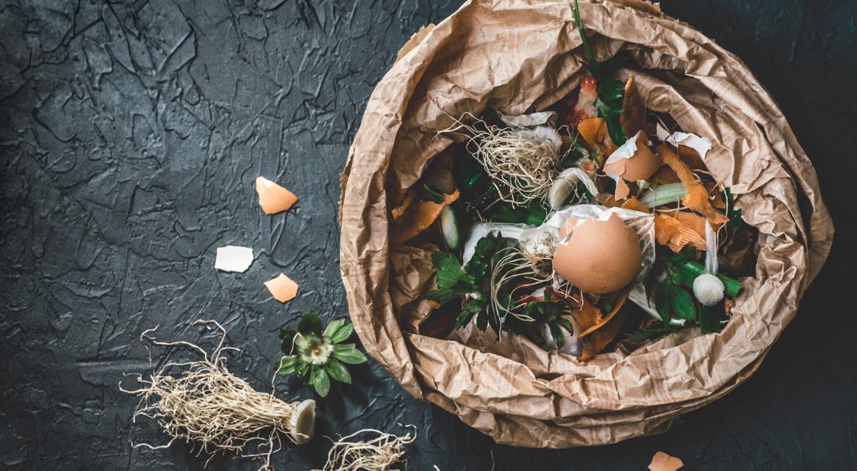 Czy skorupki jajek są biodegradowalne?