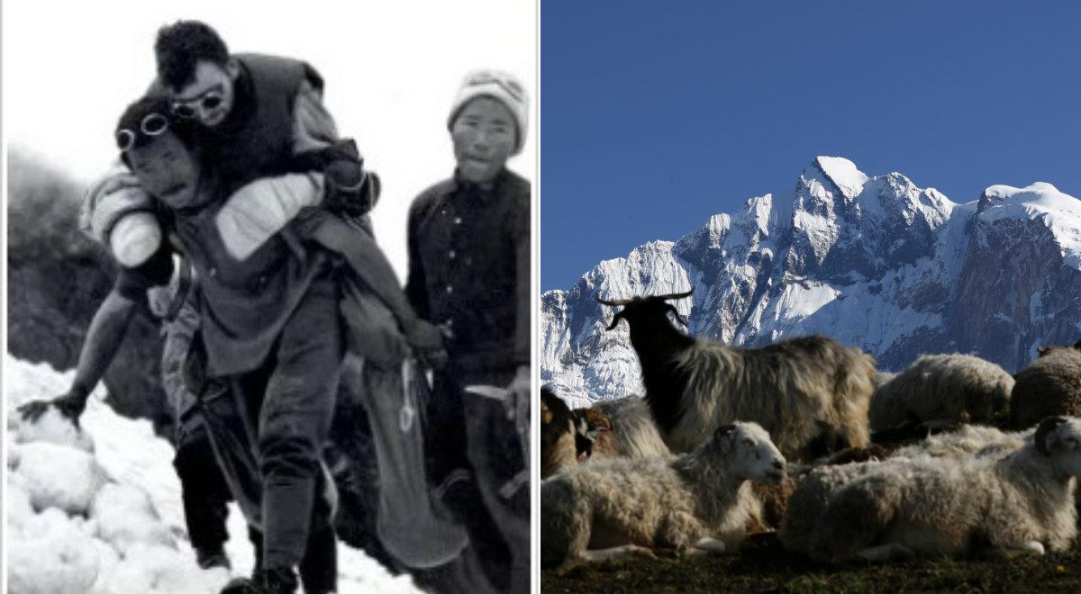 70 lat temu zdobyto pierwszy ośmiotysięcznik. Annapurna, wyjątkowa góra też dla Kukuczki