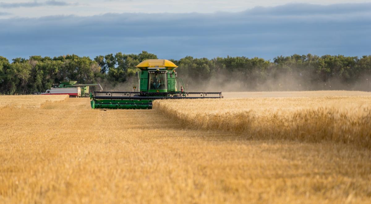 Rosja używa żywności jako broni. Zablokowany eksport zbóż z Ukrainy 