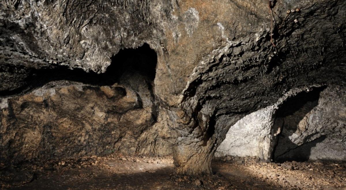 Odkryto najstarsze szczątki człowieka w Polsce. Mają ponad 100 tys. lat