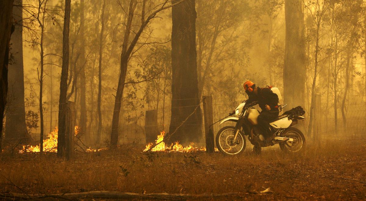 Śmiertelne pożary w Australii. Ogień coraz bliżej Sydney