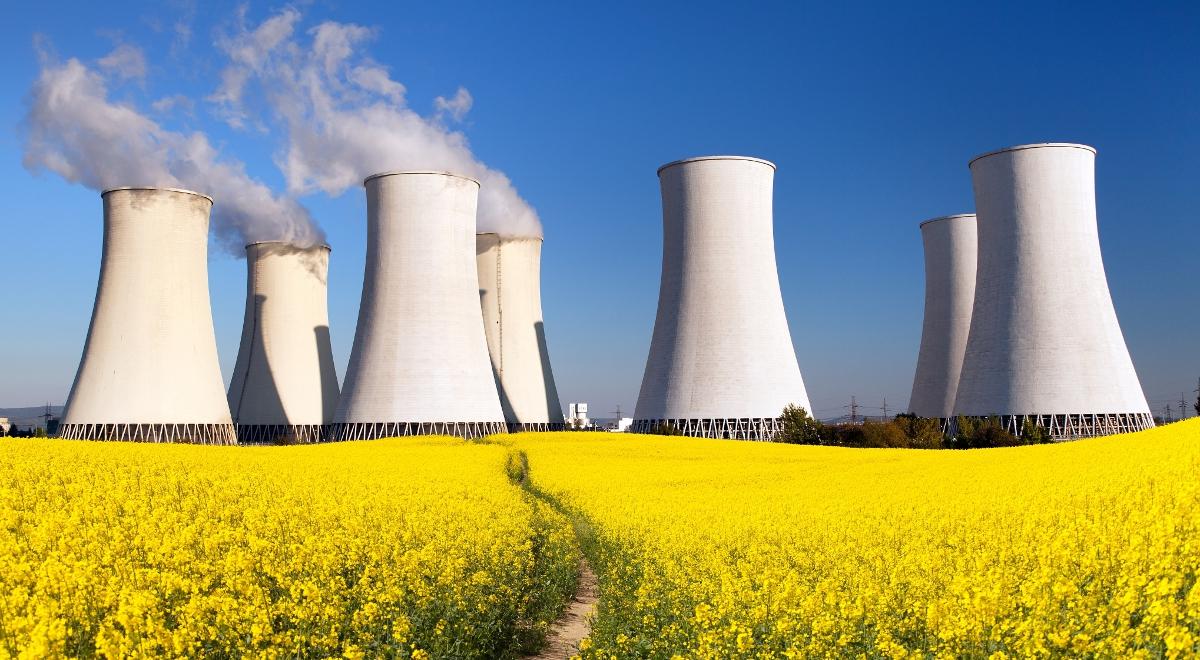 Kto zbuduje polską elektrownię jądrową? Oto potencjalni inwestorzy