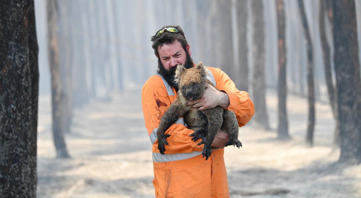 Wiceszef MSWiA: gdy Australia zwróci się o pomoc, gotowych będzie stu polskich strażaków