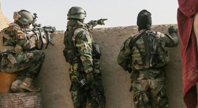 Afganistan: władze oskarżają wojsko USA o zabicie kobiety  i 7 dzieci 