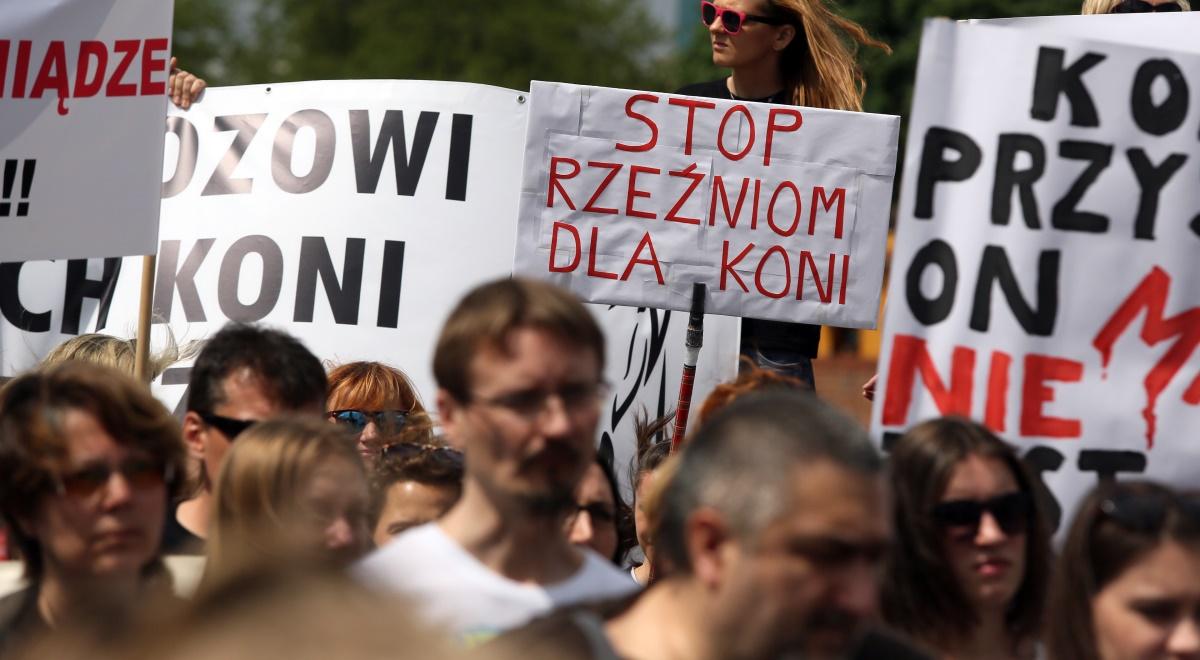 Protest przeciw ubojowi i wywozowi polskich koni na rzeź